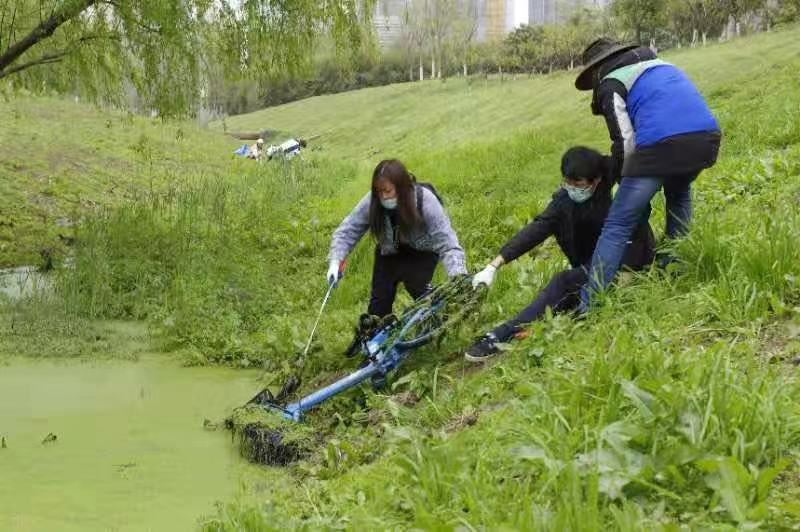 A group of people working in a field Description automatically generated with low confidence